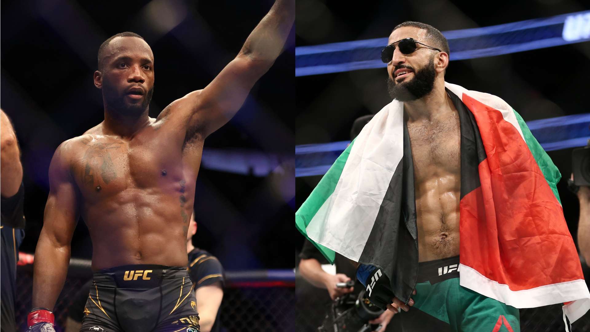 不仅可以看 不仅可以看