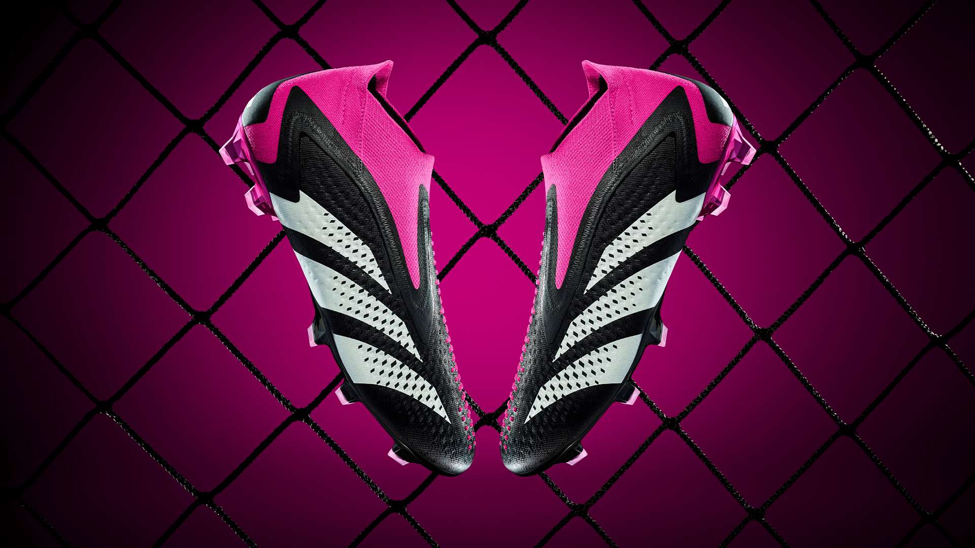 网友围观 网友围观